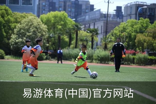 易游体育(中国)官方网站